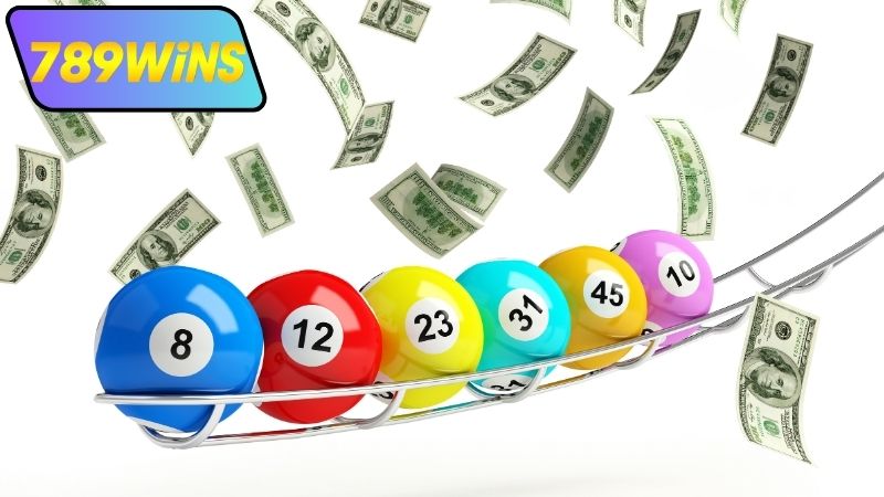 Nuôi lô khung 3 ngày là gì và vì sao nên áp dụng?