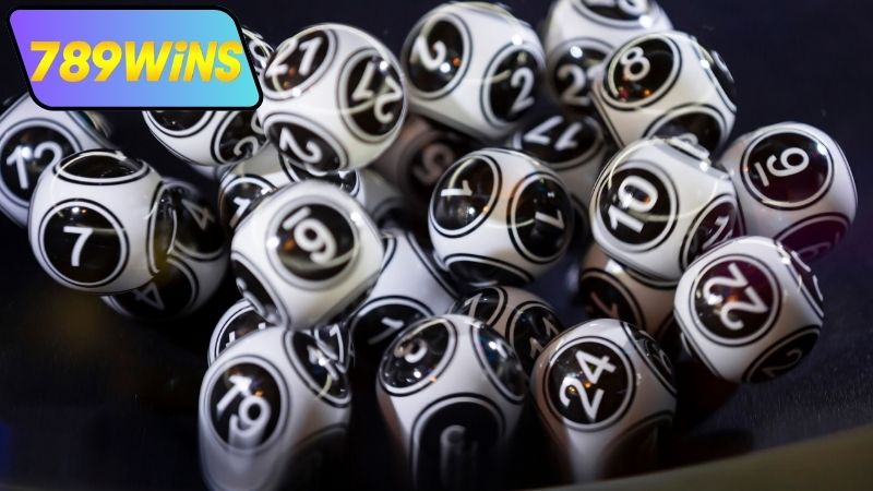 Cách nuôi lô khung 3 ngày chuẩn xác nhất